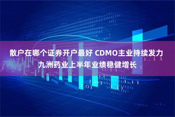 散户在哪个证券开户最好 CDMO主业持续发力 九洲药业上半年业绩稳健增长