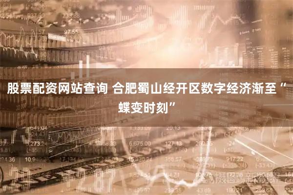 股票配资网站查询 合肥蜀山经开区数字经济渐至“蝶变时刻”