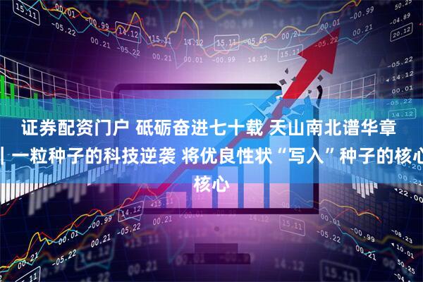 证券配资门户 砥砺奋进七十载 天山南北谱华章 ｜一粒种子的科技逆袭 将优良性状“写入”种子的核心