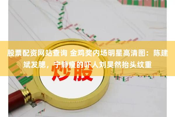 股票配资网站查询 金鸡奖内场明星高清图：陈建斌发腮，宁静瘦的吓人刘昊然抬头纹重