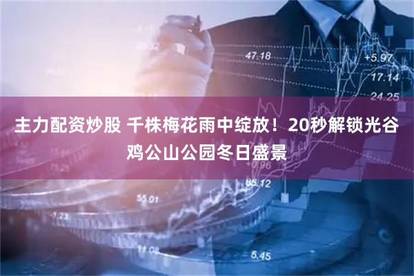 主力配资炒股 千株梅花雨中绽放！20秒解锁光谷鸡公山公园冬日盛景
