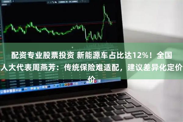 配资专业股票投资 新能源车占比达12%！全国人大代表周燕芳：传统保险难适配，建议差异化定价